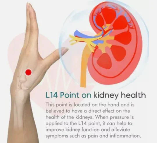 Set Sugar Control Acupressure Point Clip