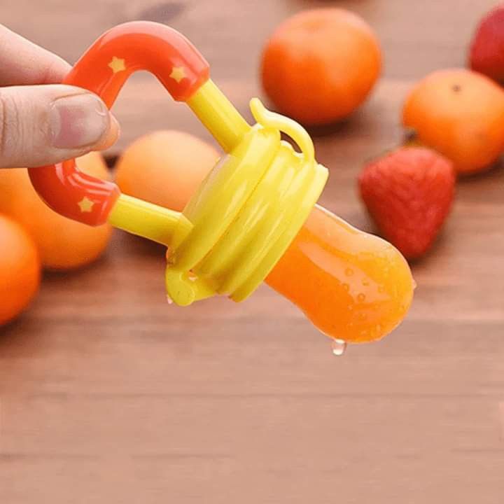 Fresh Food Pacifier for Babies