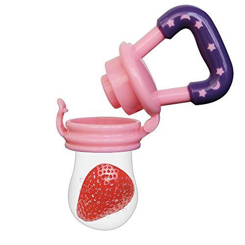 Fresh Food Pacifier for Babies